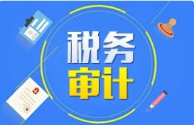 稅務審計、财務審計等